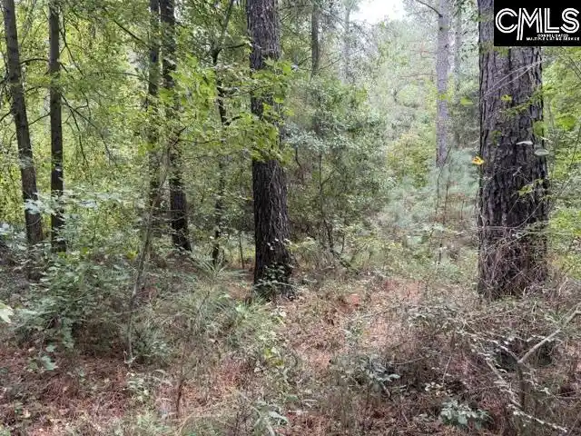 Photo 3 of Sale Pending at 0 Broad, Leesville, SC 29070 | MLS# 644858 | Listing updated on 2026-10-19