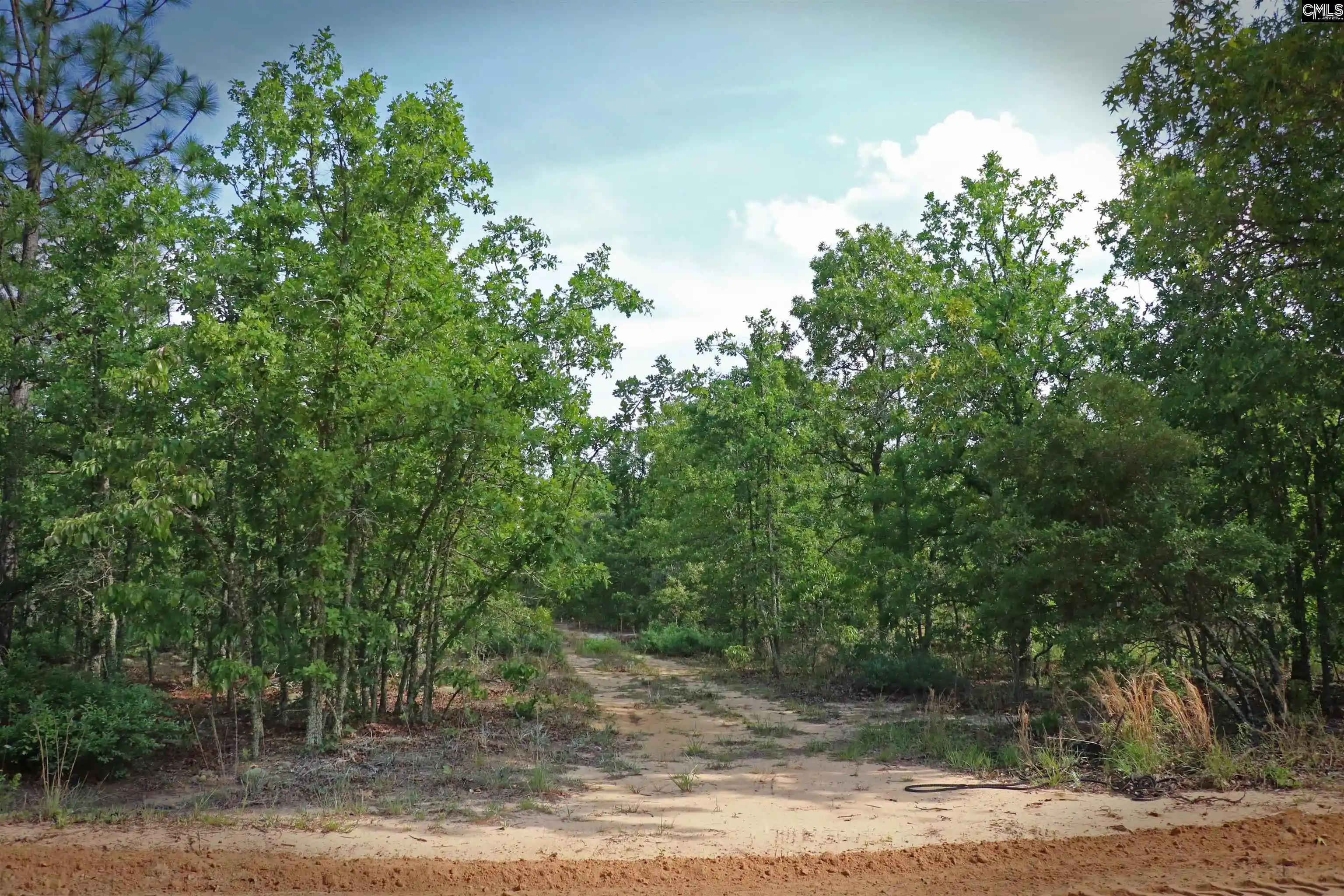 Photo 1 of Land for sale at Tbd Webbs Pond, Williston, SC 29853 | MLS# 644881 | Listing updated on 2026-10-13