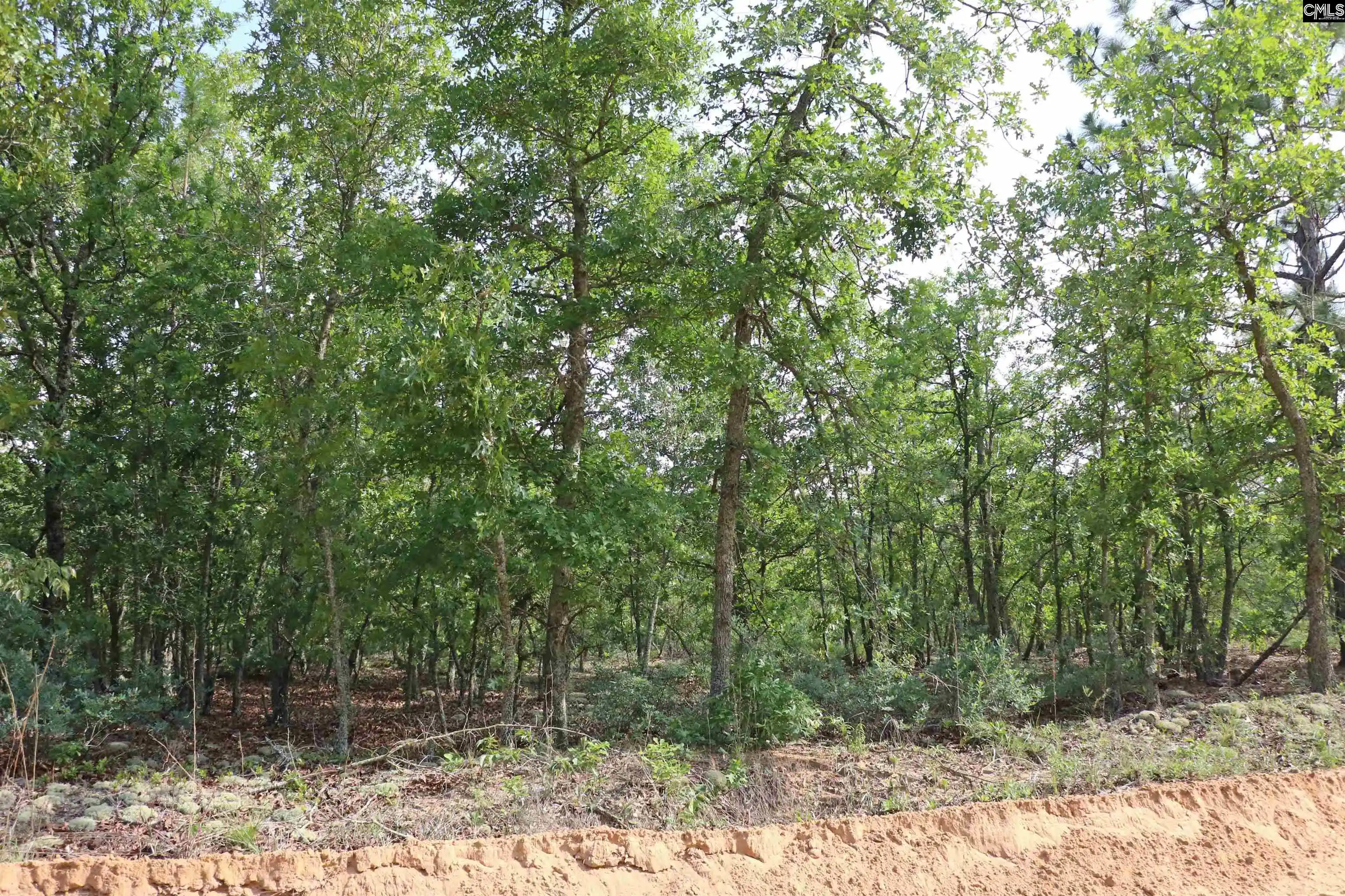 Photo 3 of Land for sale at Tbd Webbs Pond, Williston, SC 29853 | MLS# 644881 | Listing updated on 2026-10-13
