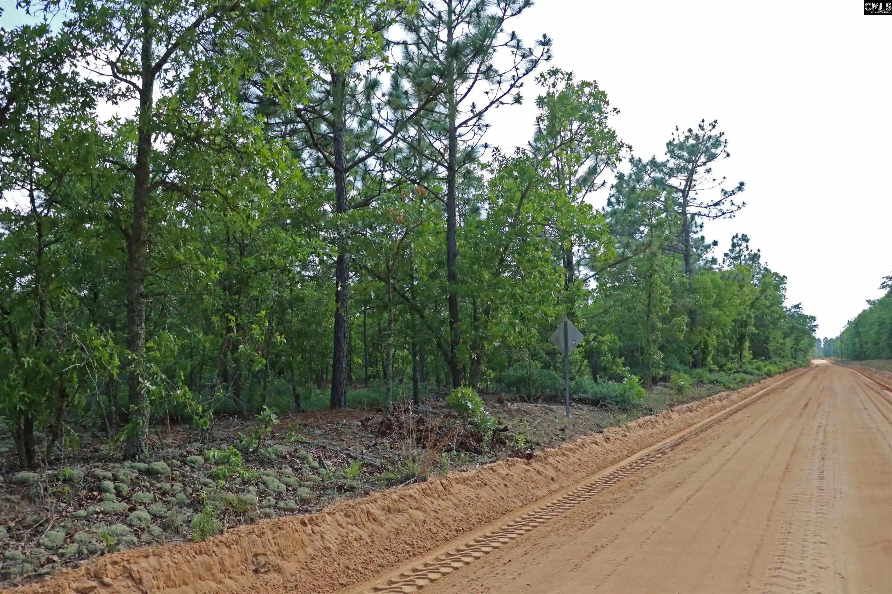 Photo 3 of Land for sale at Tbd Webbs Pond, Williston, SC 29853 | MLS# 644881 | Listing updated on 2026-10-13
