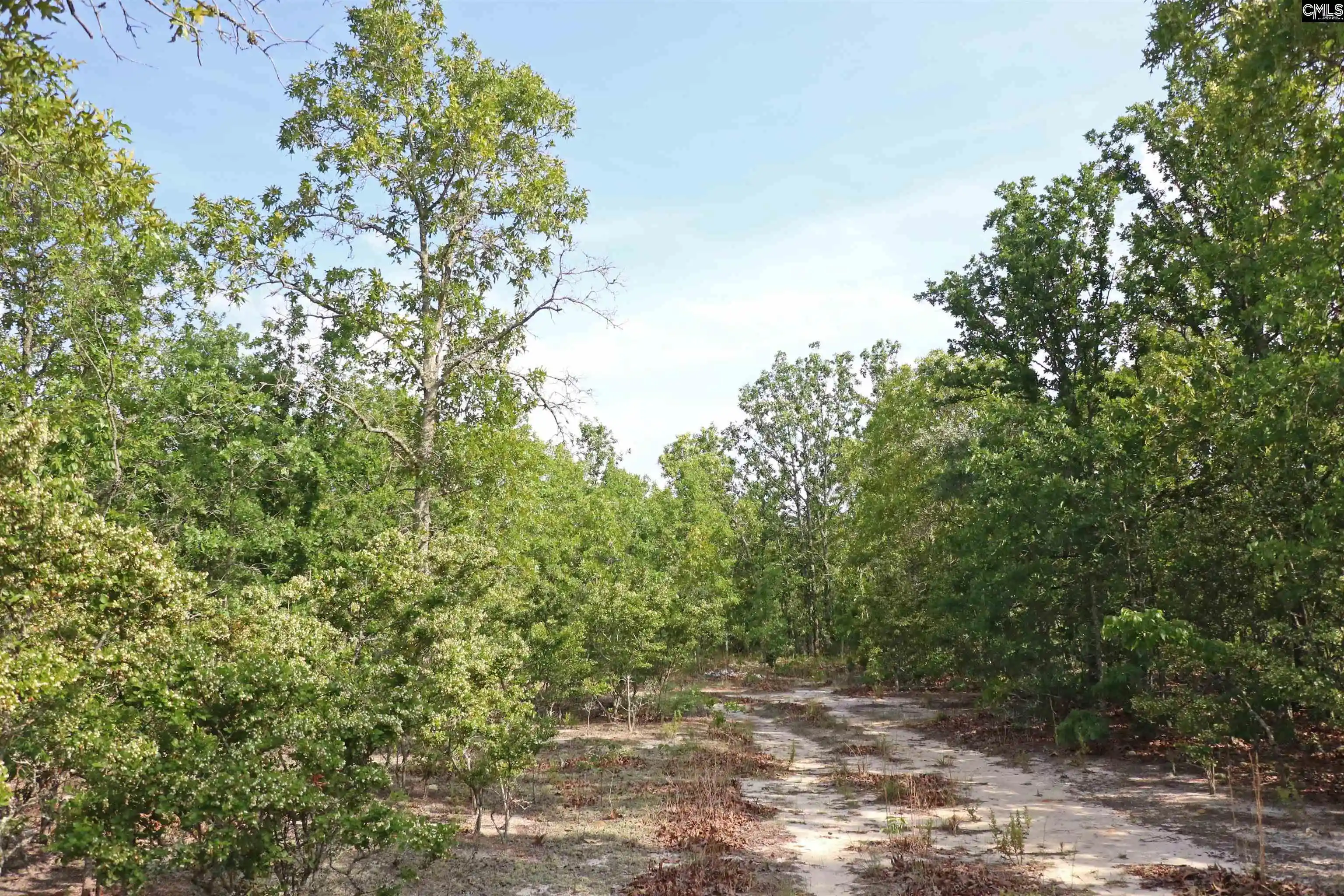 Photo 4 of Land for sale at Tbd Webbs Pond, Williston, SC 29853 | MLS# 644881 | Listing updated on 2026-10-13