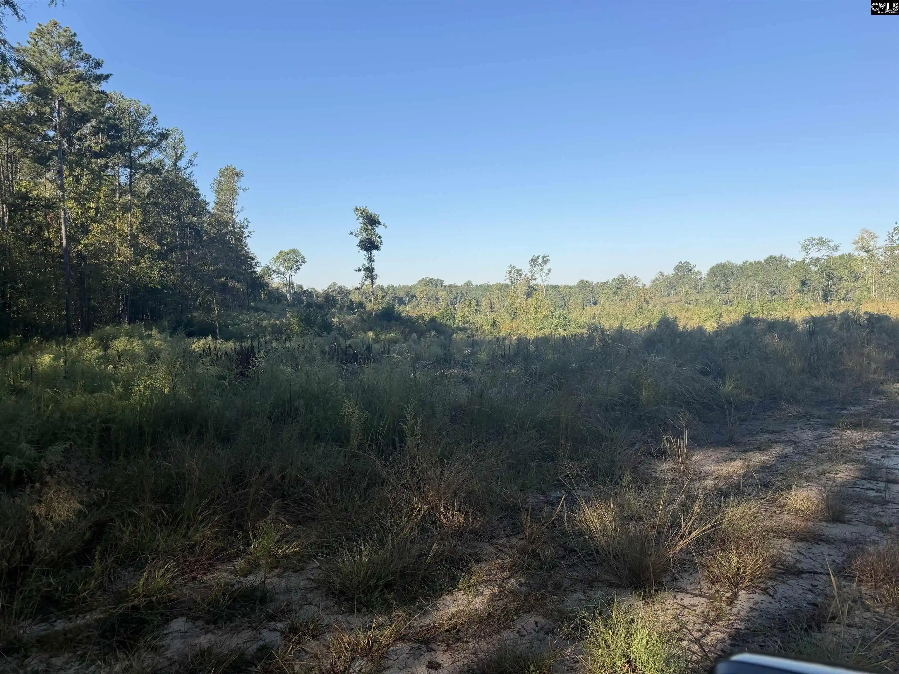 Photo 1 of Land for sale at 0 Sc Hwy 773, Pomaria, SC 29126 | MLS# 644968 | Listing updated on 2026-10-14