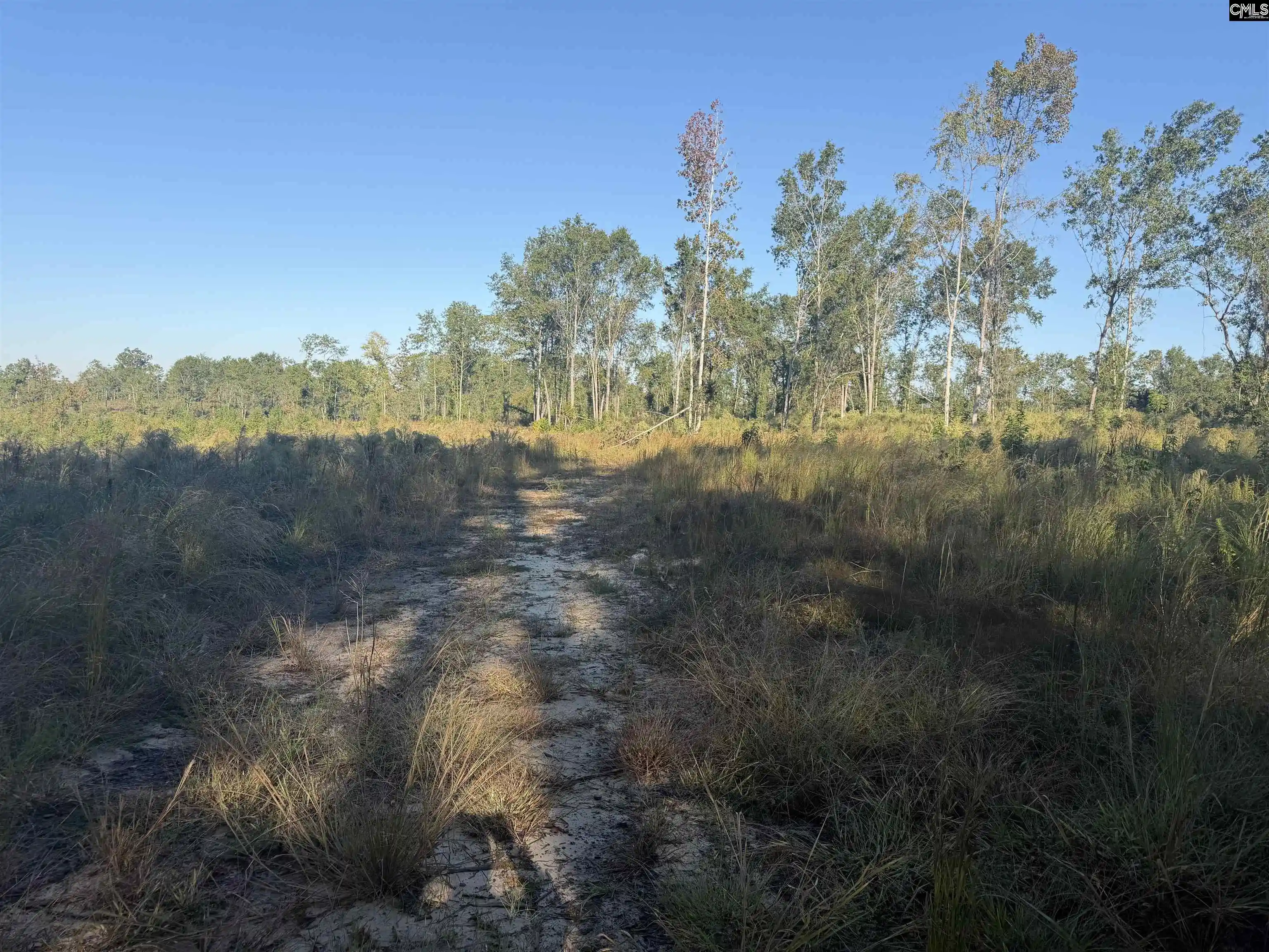 Photo 2 of Land for sale at 0 Sc Hwy 773, Pomaria, SC 29126 | MLS# 644968 | Listing updated on 2026-10-14
