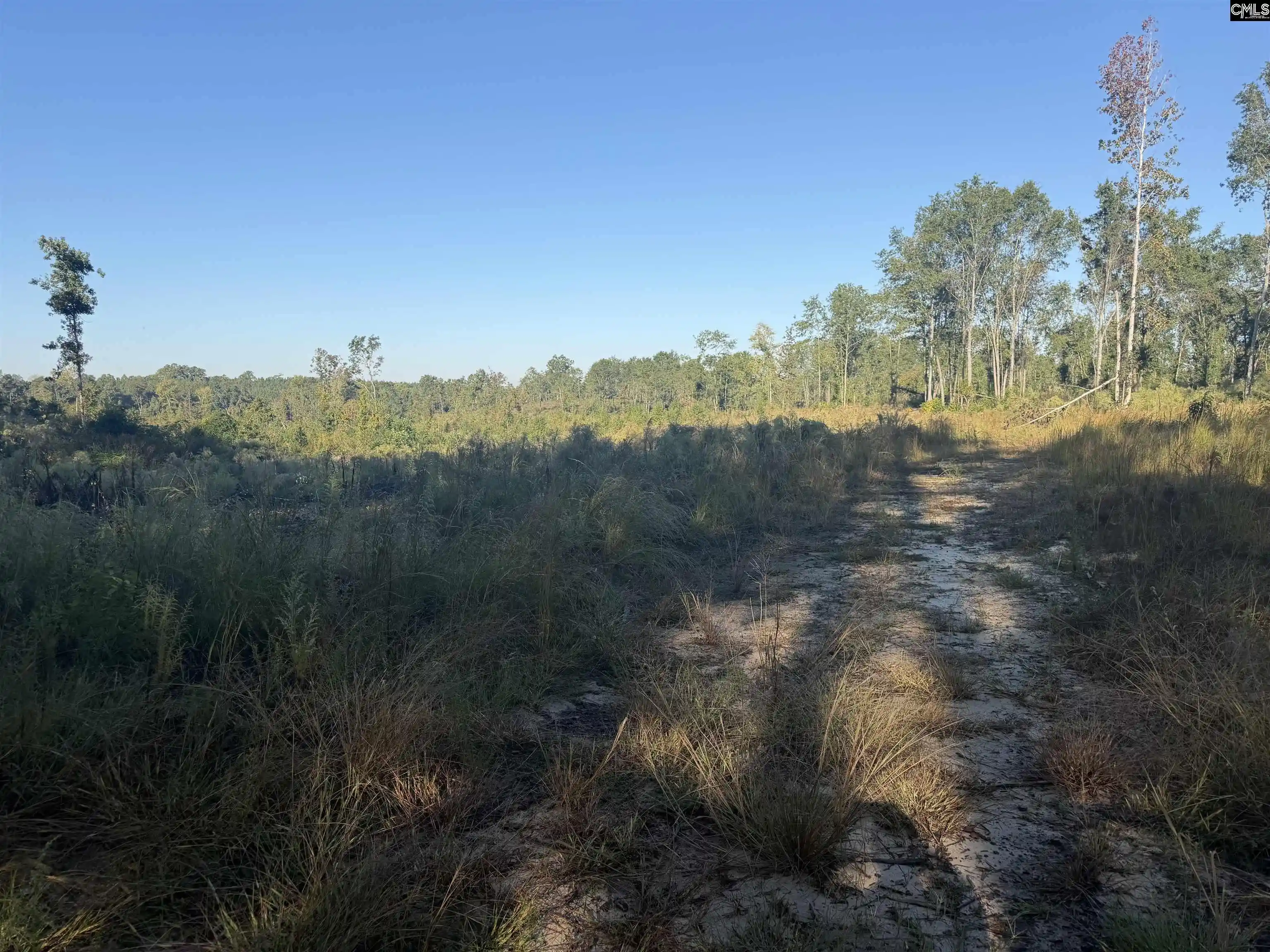 Photo 3 of Land for sale at 0 Sc Hwy 773, Pomaria, SC 29126 | MLS# 644968 | Listing updated on 2026-10-14