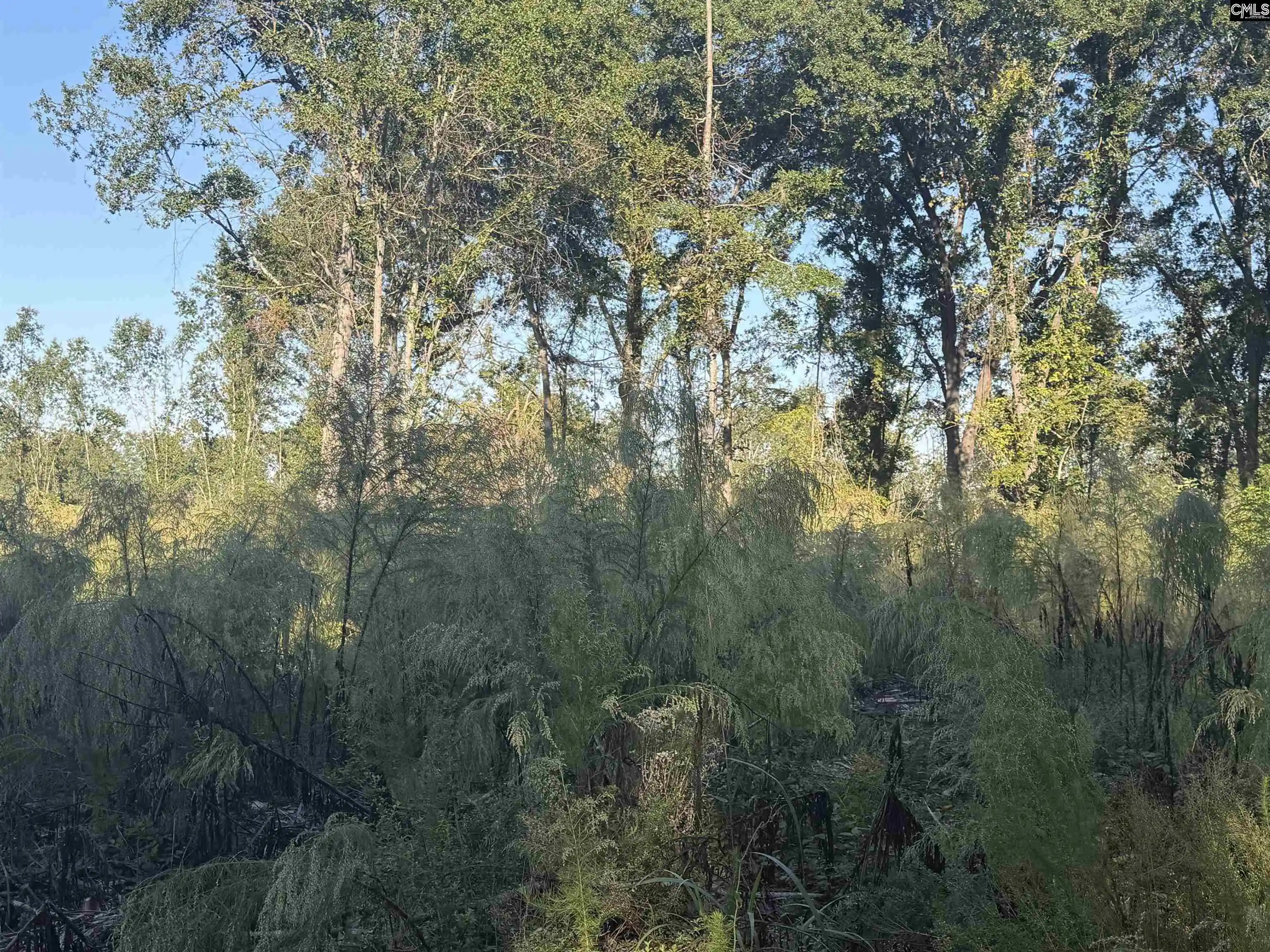 Photo 3 of Land for sale at 0 Sc Hwy 773, Pomaria, SC 29126 | MLS# 644968 | Listing updated on 2026-10-14