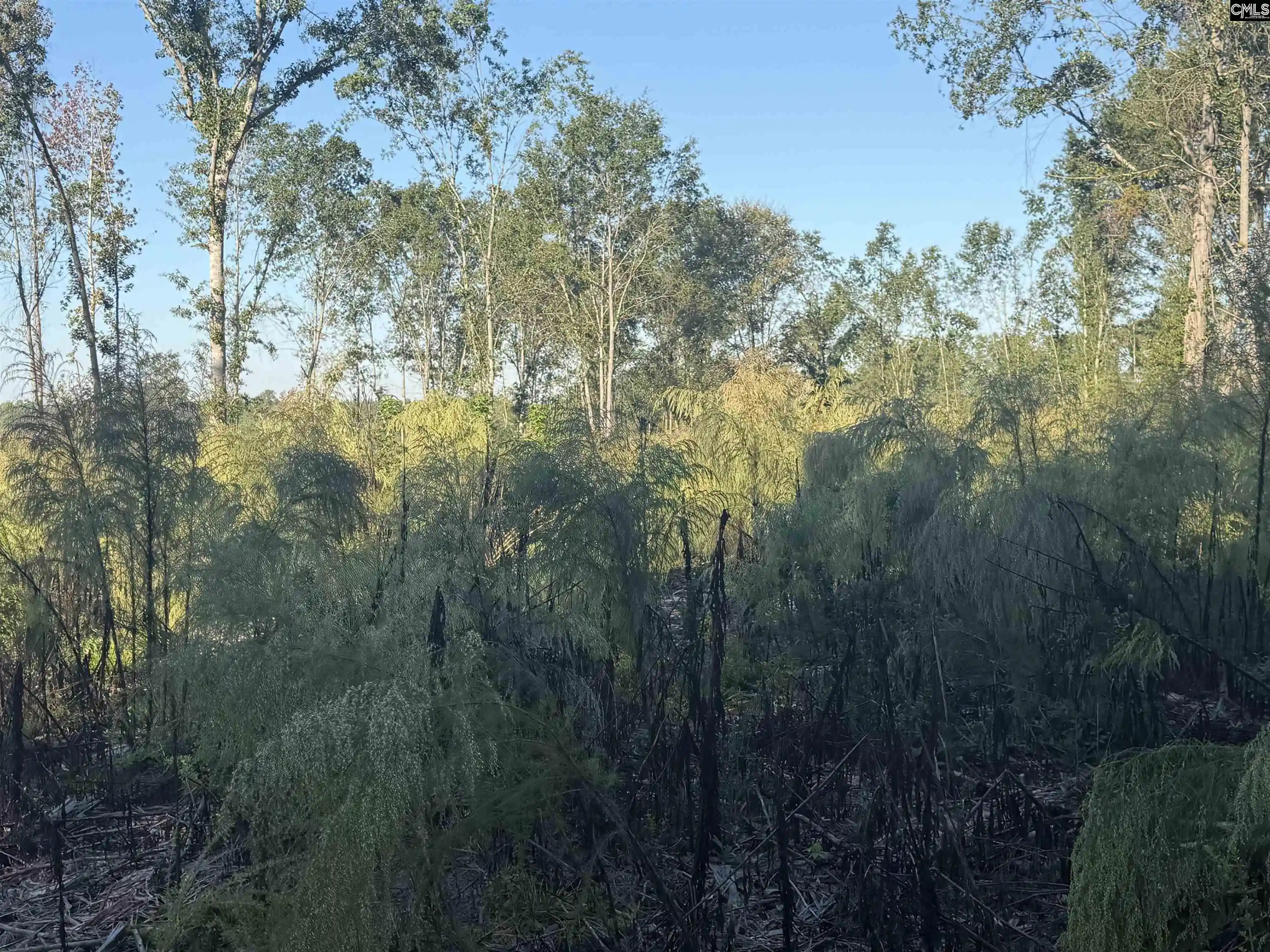 Photo 4 of Land for sale at 0 Sc Hwy 773, Pomaria, SC 29126 | MLS# 644968 | Listing updated on 2026-10-14
