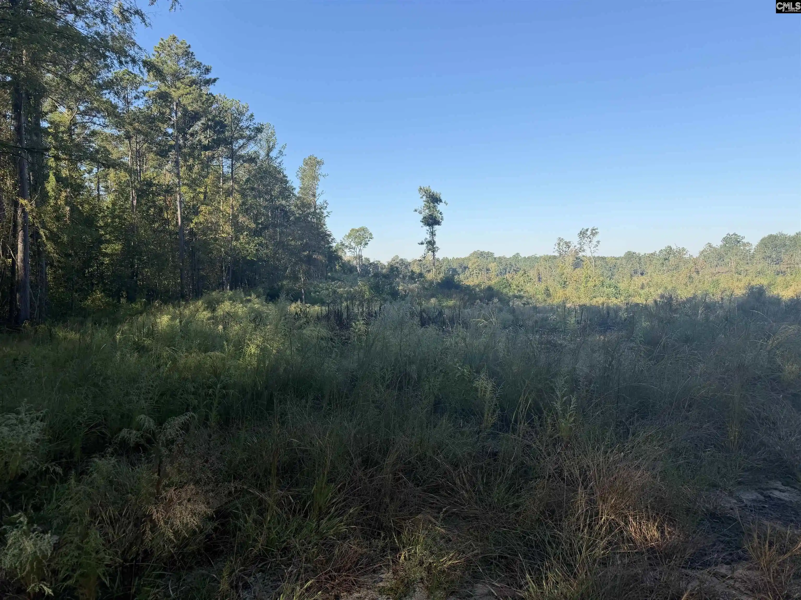 Photo 8 of Land for sale at 0 Sc Hwy 773, Pomaria, SC 29126 | MLS# 644968 | Listing updated on 2026-10-14