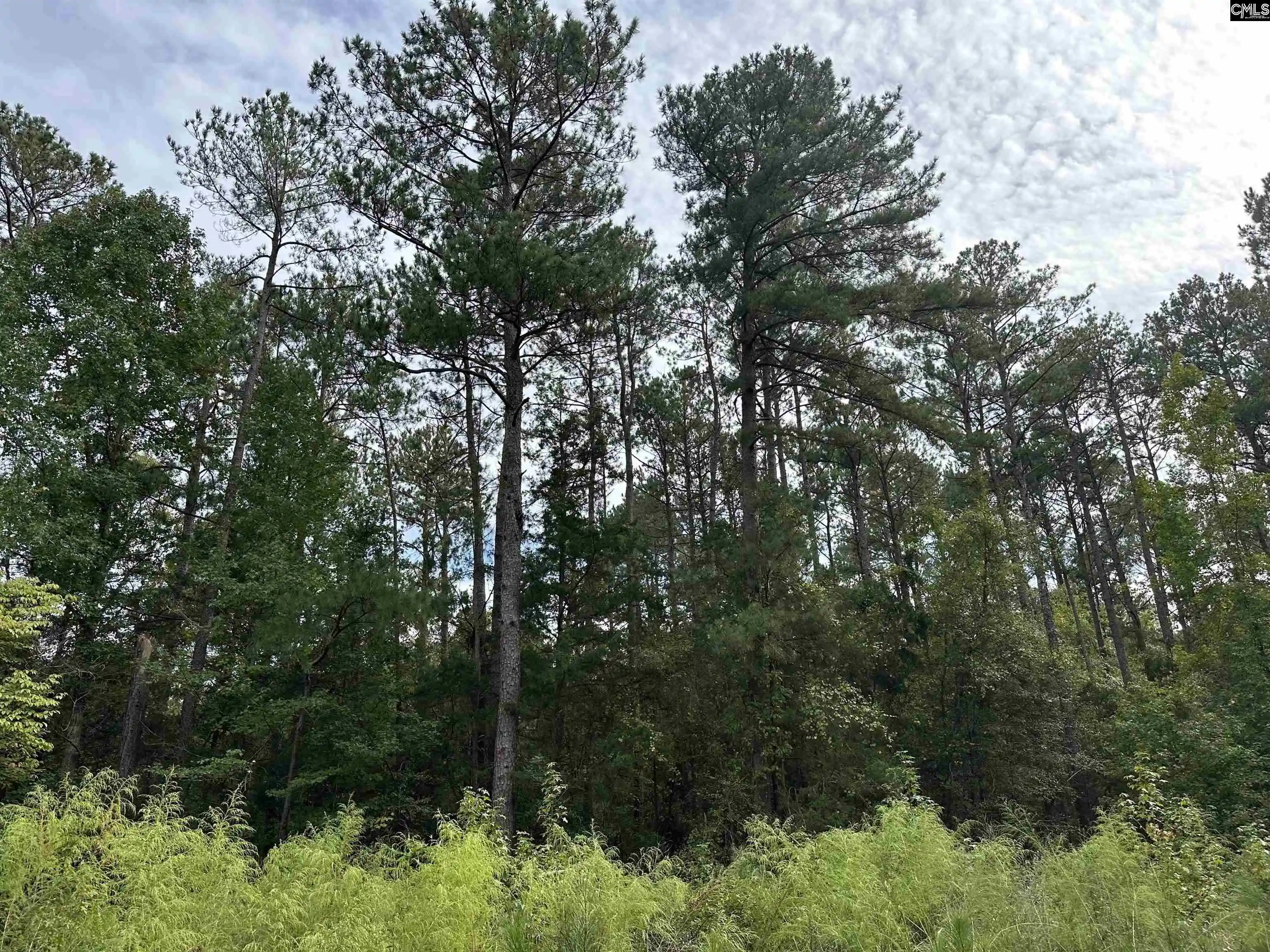 Photo 2 of Land for sale at Jollystreet, Prosperity, SC 29127 | MLS# 644990 | Listing updated on 2026-10-14
