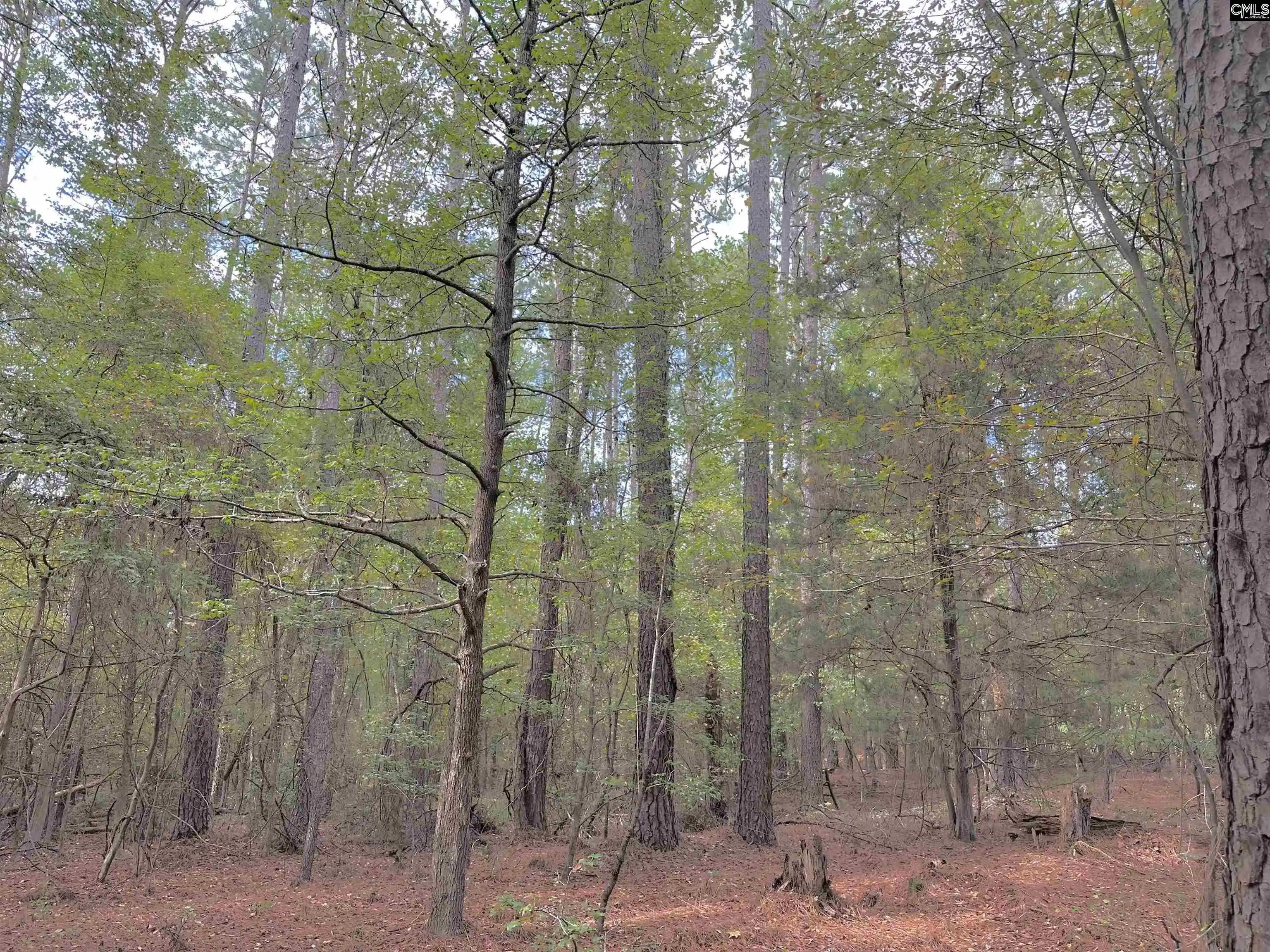 Photo 3 of Land for sale at Jollystreet, Prosperity, SC 29127 | MLS# 644990 | Listing updated on 2026-10-14