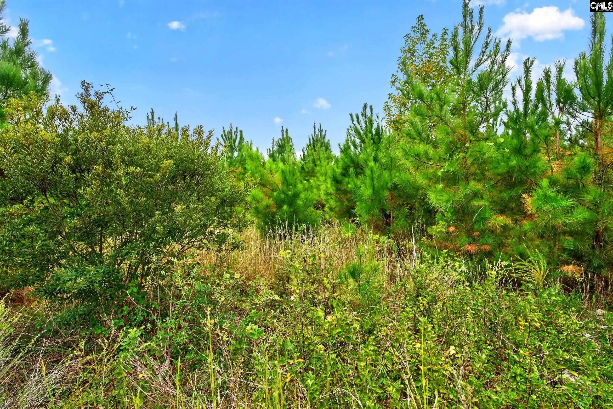 Photo 2 of Land for sale at 0000 Line #4, Elgin, SC 29045 | MLS# 645001 | Listing updated on 2026-10-19