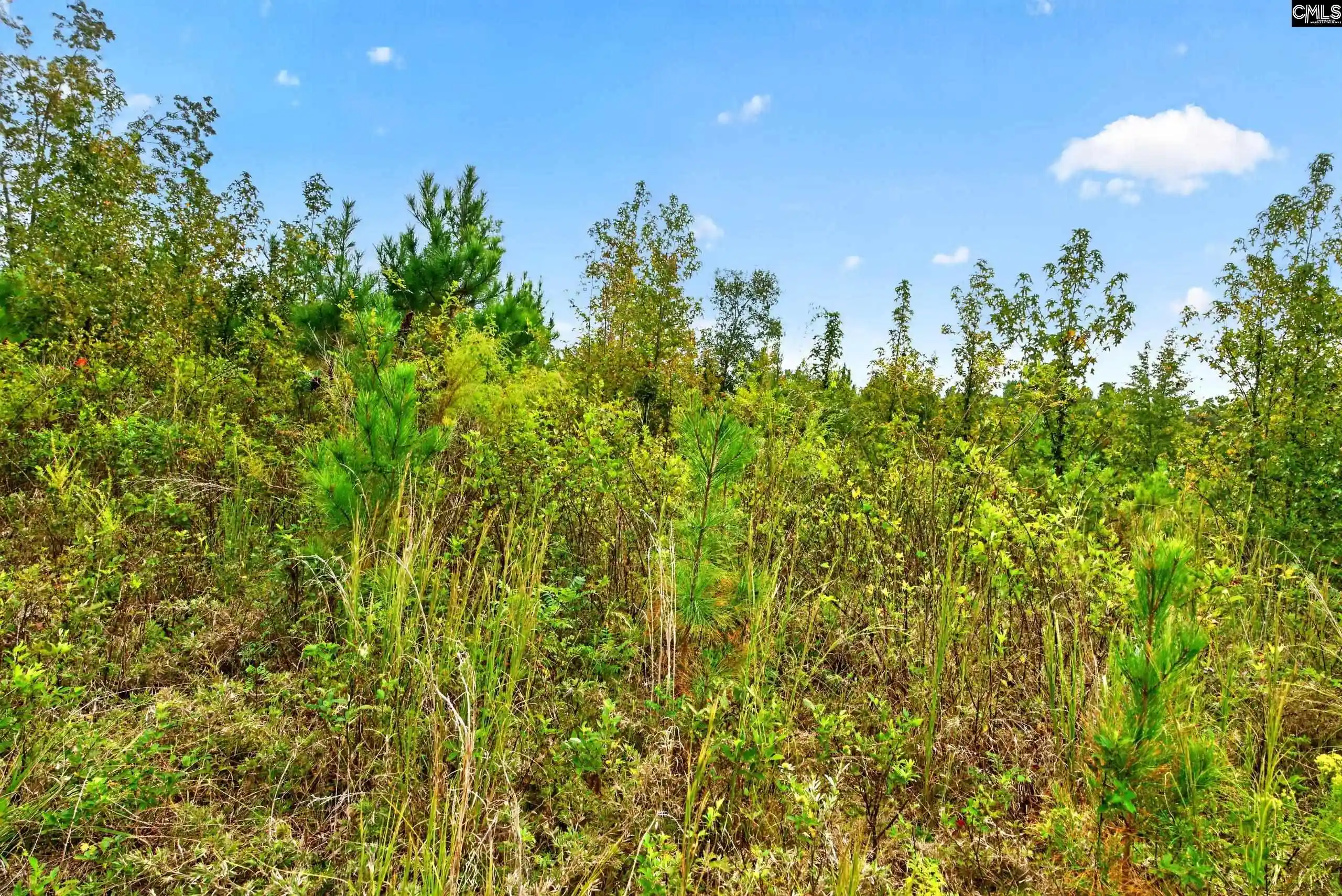 Photo 3 of Land for sale at 0000 Line #4, Elgin, SC 29045 | MLS# 645001 | Listing updated on 2026-10-19
