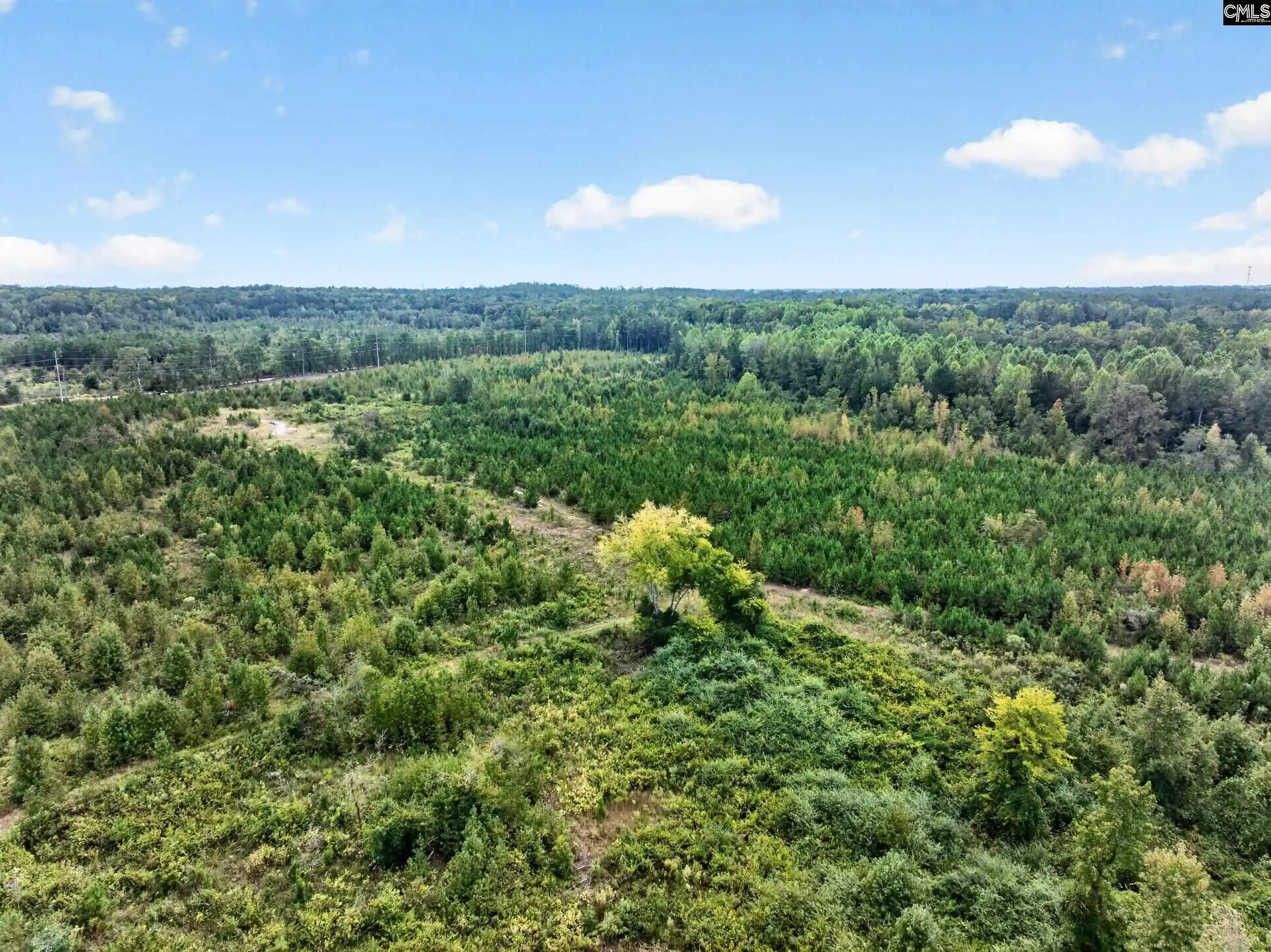Photo 3 of Land for sale at 0000 Line #4, Elgin, SC 29045 | MLS# 645001 | Listing updated on 2026-10-19