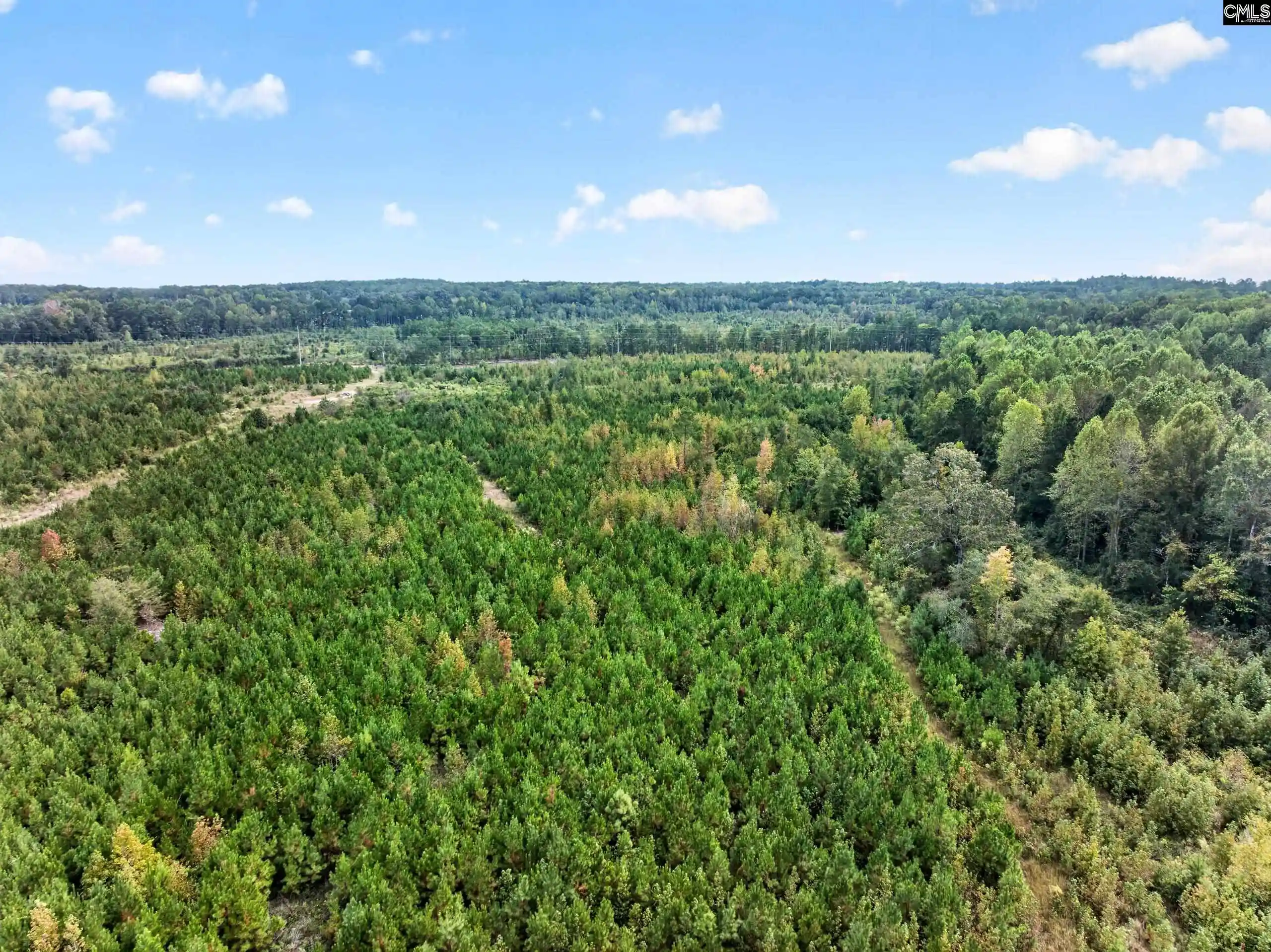 Photo 4 of Land for sale at 0000 Line #4, Elgin, SC 29045 | MLS# 645001 | Listing updated on 2026-10-19