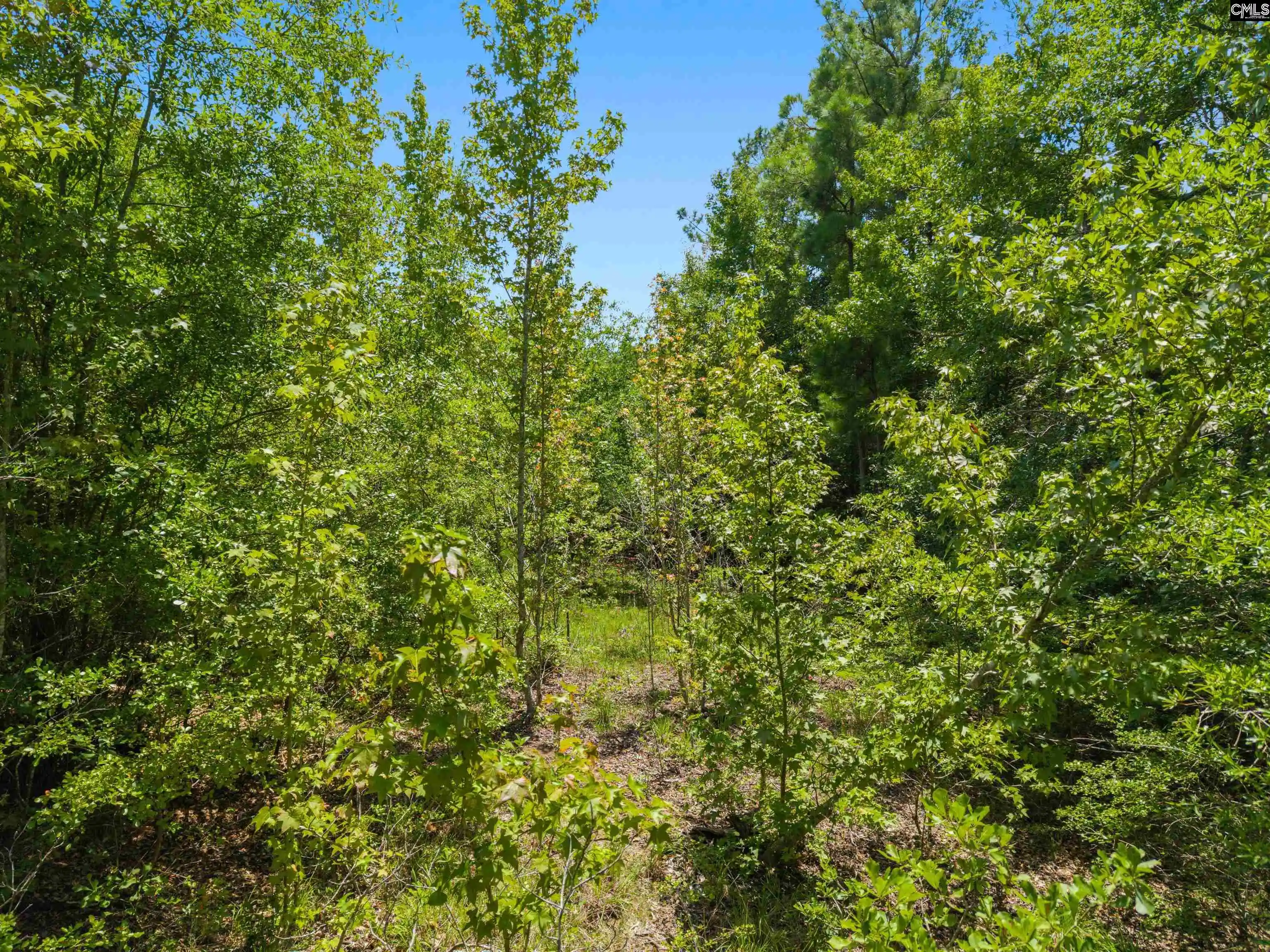 Photo 3 of Sale Pending at 901 Saint Paul, Camden, SC 29020 | MLS# 645008 | Listing updated on 2026-10-16