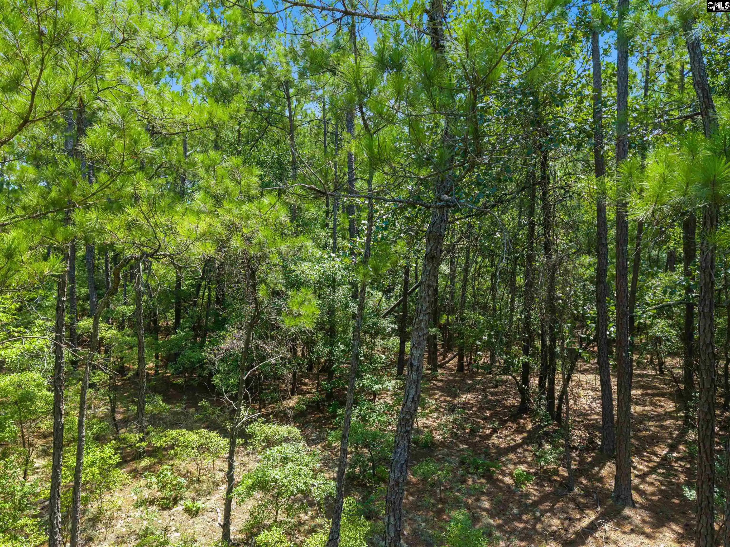 Photo 3 of Sale Pending at 901 Saint Paul, Camden, SC 29020 | MLS# 645008 | Listing updated on 2026-10-16