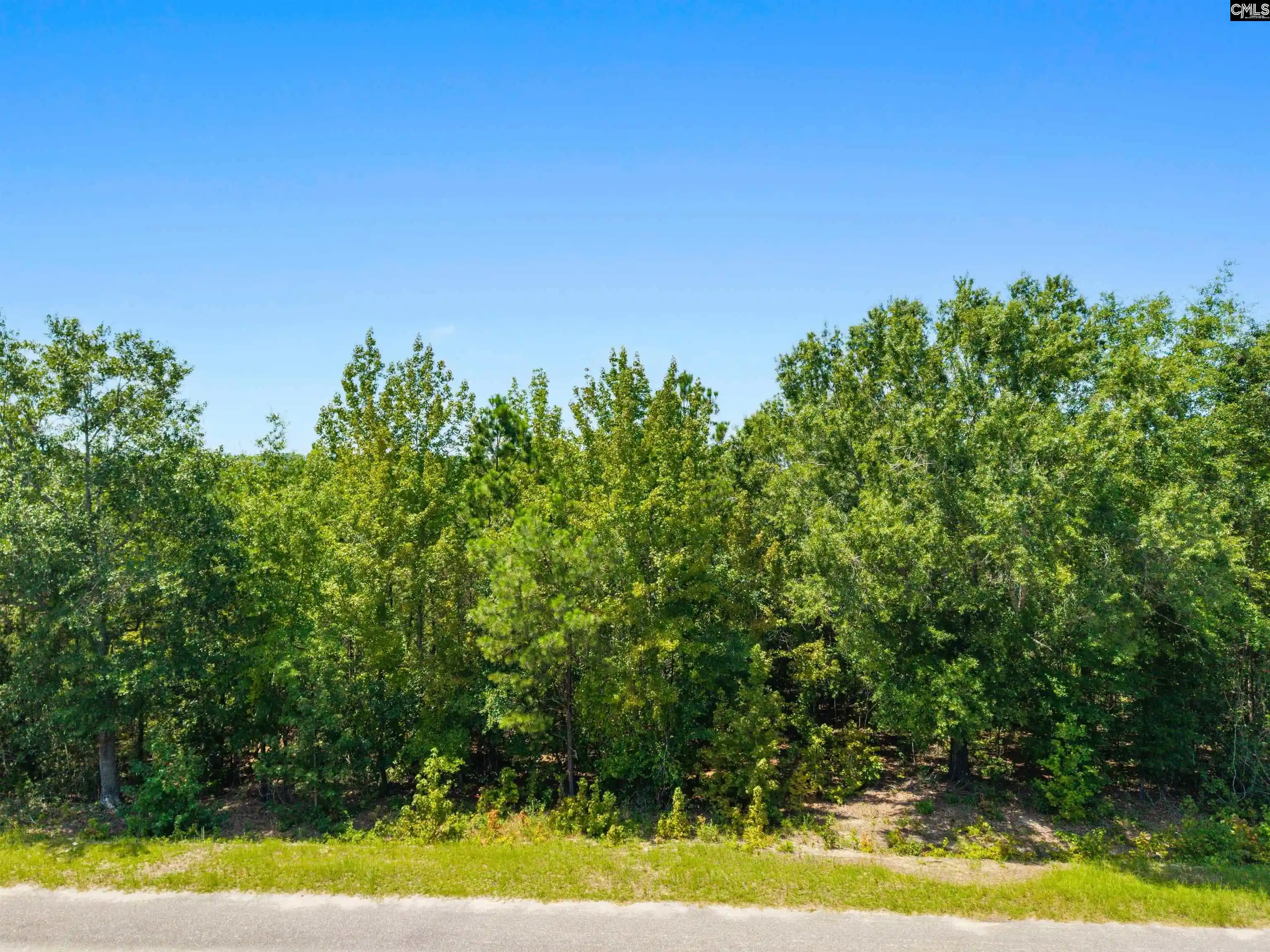 Photo 4 of Sale Pending at 901 Saint Paul, Camden, SC 29020 | MLS# 645008 | Listing updated on 2026-10-16