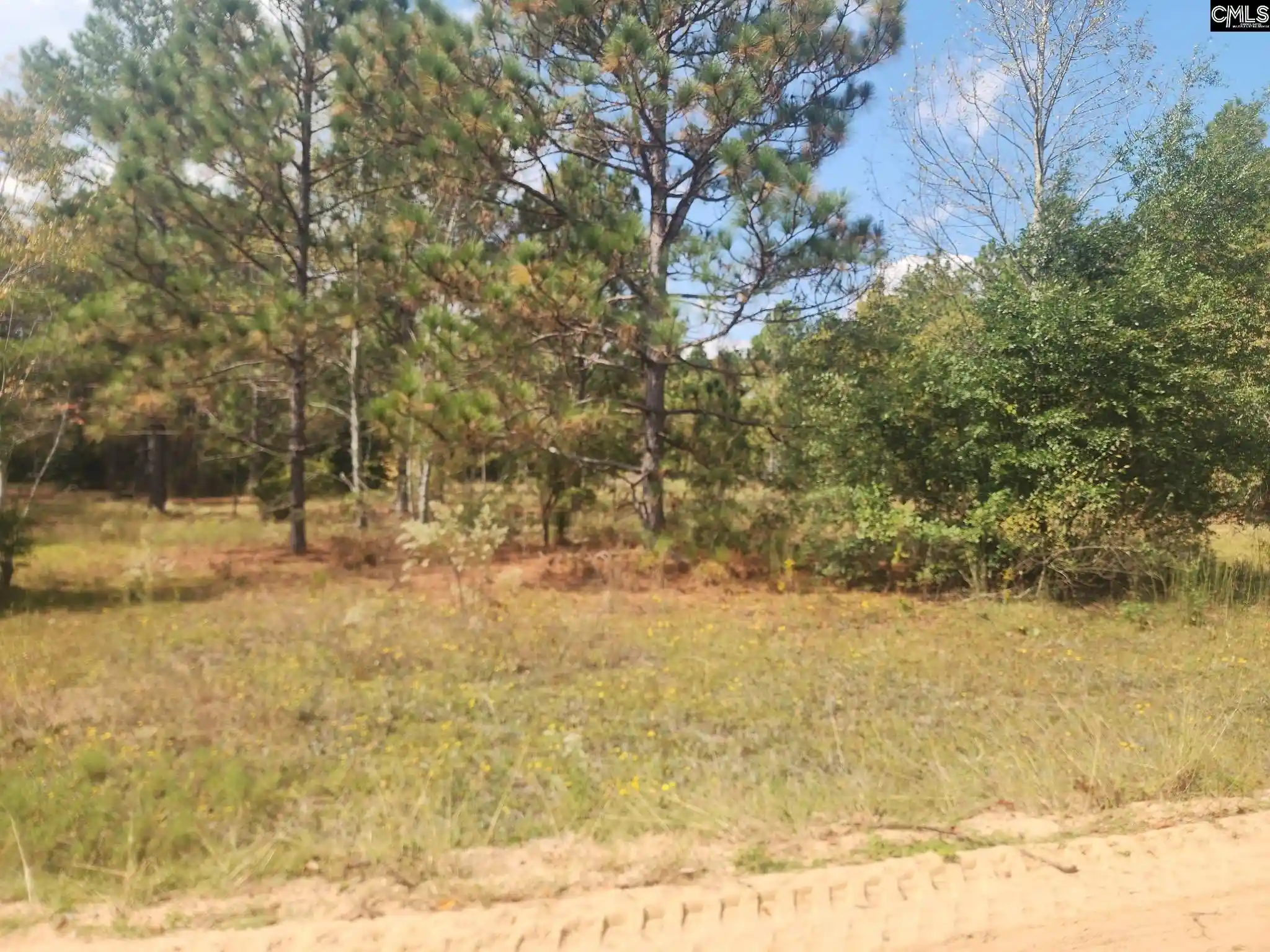 Photo 2 of Land for sale at Tbd Elijah, Pelion, SC 29123 | MLS# 645487 | Listing updated on 2026-10-22