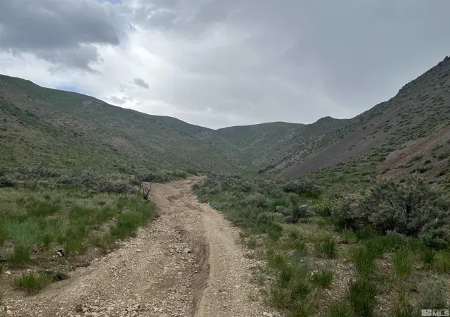 Homes for sale in Gardnerville, NV | --, Gardnerville, NV 89410 | MLS# 230005265