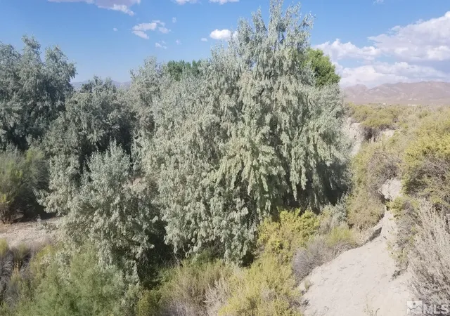 5th image of 200 Raymond Rd, Lovelock, NV 89419 | MLS# 240011902