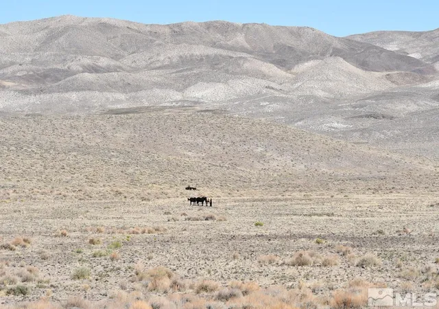 15th image of 06 Hwy 95a, Fernley, NV 89408 | MLS# 240012337
