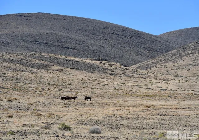 4th image of 06 Hwy 95A, Fernley, NV 89408 | MLS# 240012337