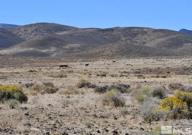 5th image of 06 Hwy 95A, Fernley, NV 89408 | MLS# 240012337