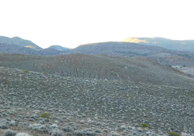 36th image of 00610106 Schaad, Dayton, NV 89403 | MLS# 220000573