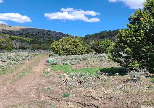 Photo 3 of Land for sale at 0 Left Hand Canyon Rd, Reno, NV 89510 | MLS# 230004823 | Listing updated on 2026-05-11