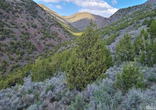 Photo 4 of Land for sale at 0 Left Hand Canyon Rd, Reno, NV 89510 | MLS# 230004823 | Listing updated on 2026-05-11