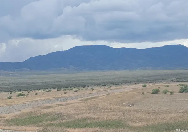 Homes for sale in Lovelock, NV | Apn 015 570 14, Lovelock, NV 89419 | MLS# 230006305