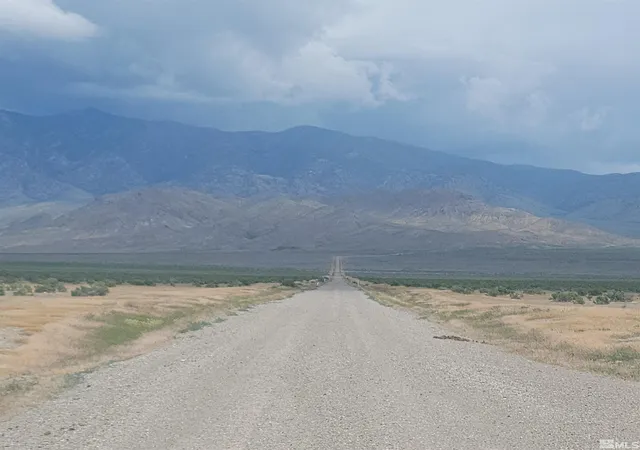 Homes for sale in Lovelock, NV | Apn 015 570 14, Lovelock, NV 89419 | MLS# 230006305