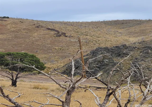 Photo 3 of Land for sale at 2200 Piute Creek Rd, Reno, NV 89510 | MLS# 230013418 | Listing updated on 2026-06-26