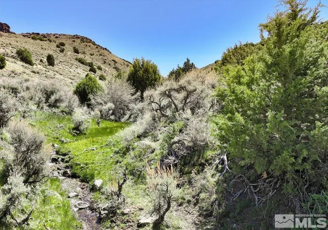 1st image of 0 Pah Rah Springs Rd, Reno, NV 89510 | MLS# 240007324