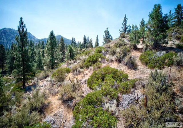 5th image of 5645 W Us Hwy 50, Carson City, NV 89705 | MLS# 240011103