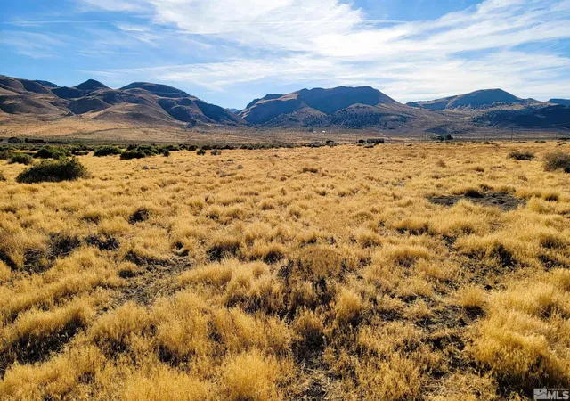 Photo 3 of Land for sale at 40 Acr Sharrock Rd, Sparks, NV 89510 | MLS# 240011016 | Listing updated on 2025-08-02