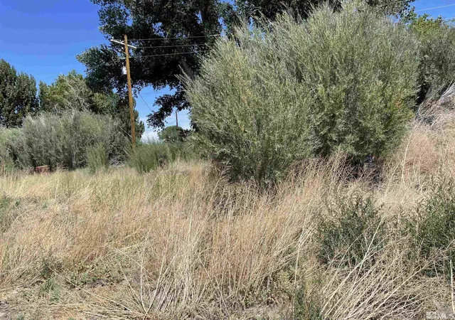 1st image of 10 Rio Vista Dr, Yerington, NV 89447 | MLS# 240011219