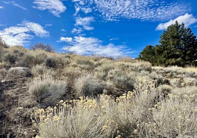 2nd image of 2815 Lakeridge, Reno, NV 89509 | MLS# 250001365