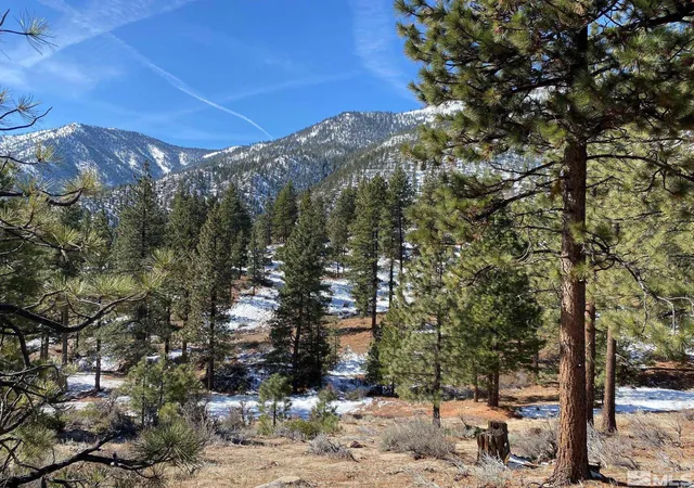 3rd image of 180 Scenic Range Ct, Carson City, NV 89705 | MLS# 250002897