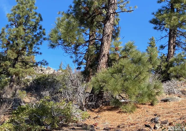 4th image of 180 Scenic Range Ct, Carson City, NV 89705 | MLS# 250002897