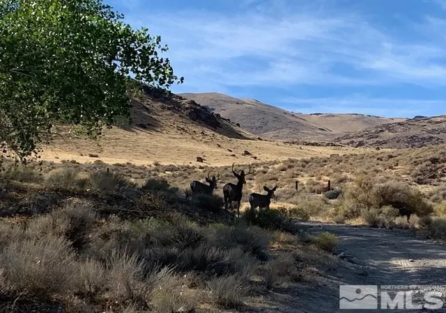 1st image of 0 State Route 447, Reno, NV 89510 | MLS# 250003453