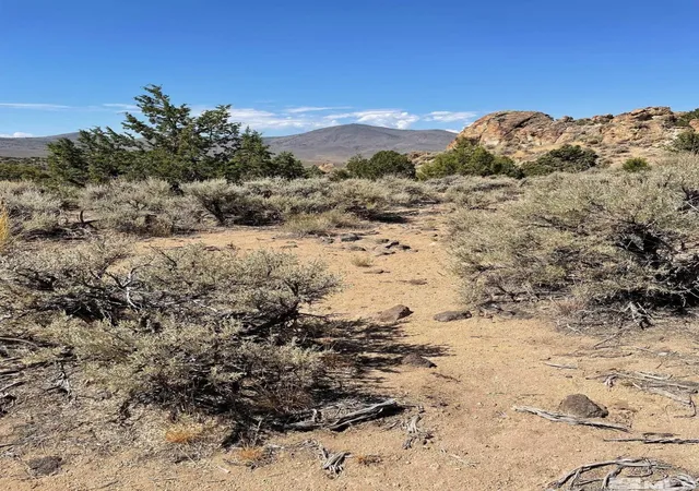 10th image of 0 Wilcox Ranch Rd, Reno, NV 89510 | MLS# 250002490