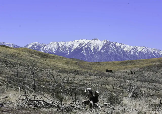 1st image of Tbd Parcels At Pine Nut Creek Area, Gardnerville, NV 89410 | MLS# 220001078
