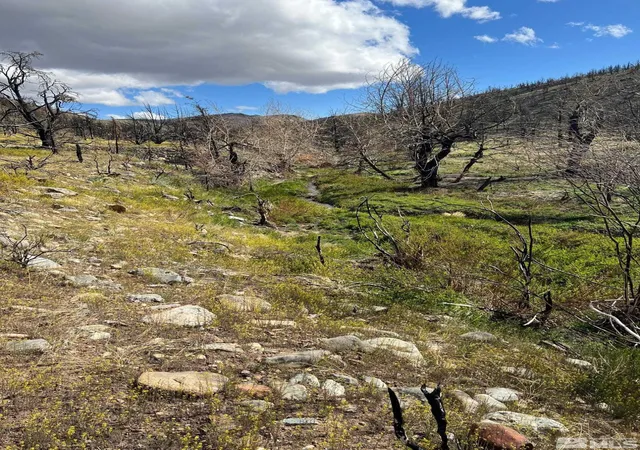 Photo 3 of Land for sale at Tbd Parcels At Pine Nut Creek Area, Gardnerville, NV 89410 | MLS# 220001078 | Listing updated on 2026-07-02