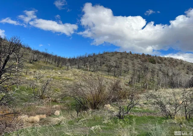 Photo 4 of Land for sale at Tbd Parcels At Pine Nut Creek Area, Gardnerville, NV 89410 | MLS# 220001078 | Listing updated on 2026-07-02