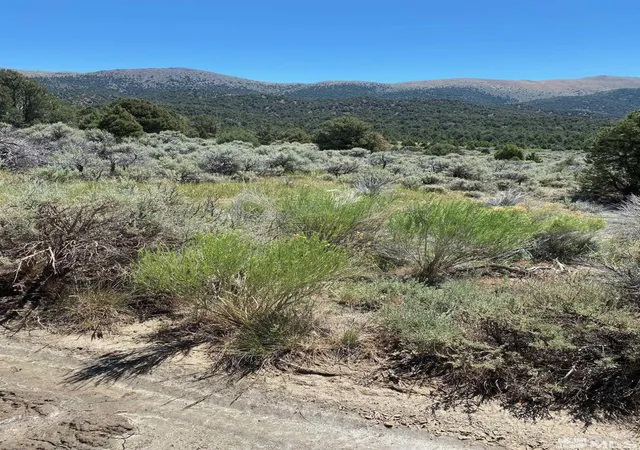 Land for sale at Tbd El Dorado Cyn, Carson City, NV 89701 | MLS# 220006356