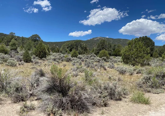 Photo 1 of Land for sale at Tbd El Dorado Cyn, Carson City, NV 89701 | MLS# 220006356 | Listing updated on 2026-07-02