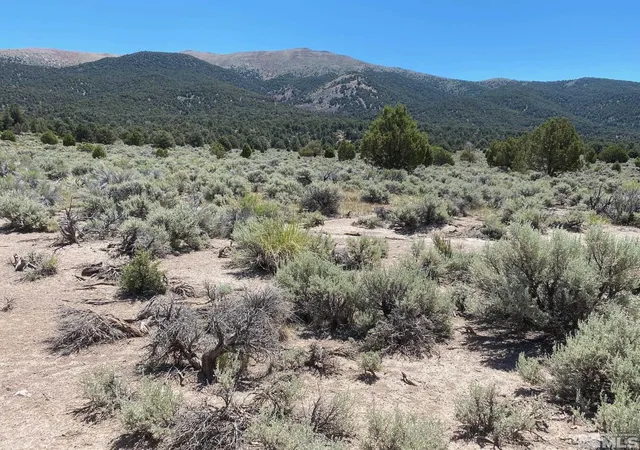 Photo 2 of Land for sale at Tbd El Dorado Cyn, Carson City, NV 89701 | MLS# 220006356 | Listing updated on 2026-07-02