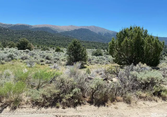 Photo 4 of Land for sale at Tbd El Dorado Cyn, Carson City, NV 89701 | MLS# 220006356 | Listing updated on 2026-07-02