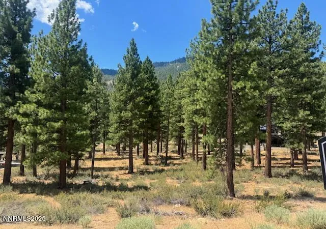 3rd image of 3385 Golf Club Dr, Carson City, NV 89705 | MLS# 240000145