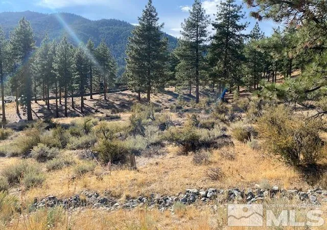 4th image of 196 Scenic Range Ct, Carson City, NV 89705 | MLS# 240013109